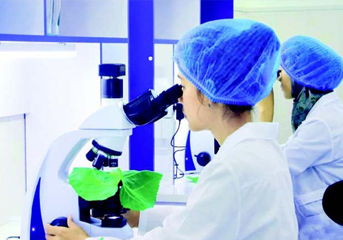 “Shaffof idish ichida”gi daromad